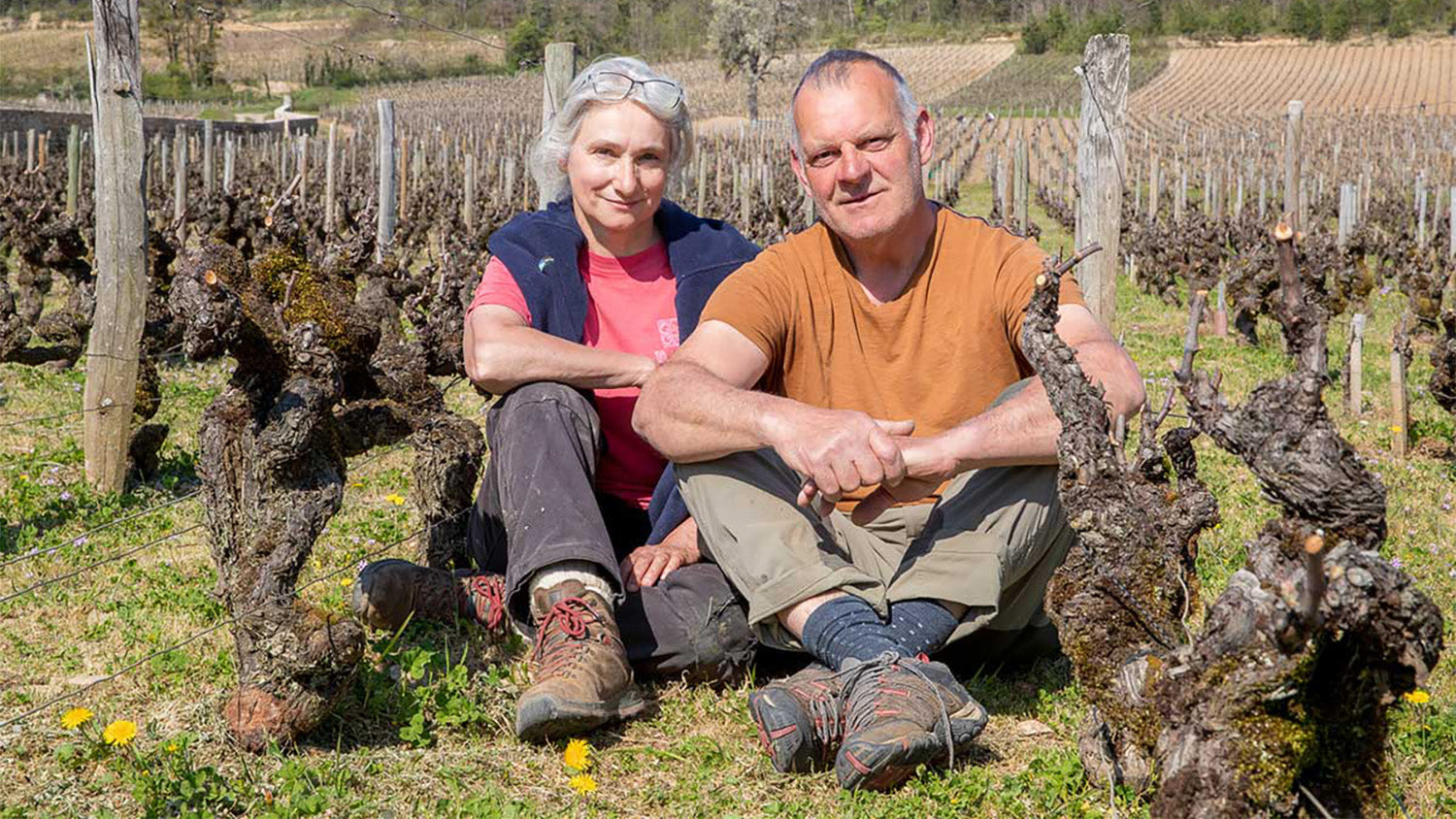 Domaine Comtesse de Cherisey: The Wondrous Whites of Blagny