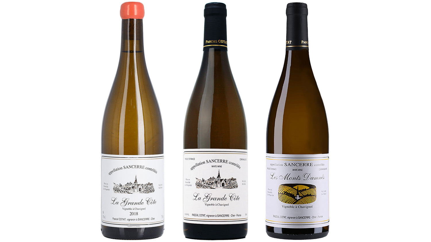 ワイン Pascal Cotat 2020 Pascal Cotat Sancerre Les Monts Damnés(パスカル・コタ