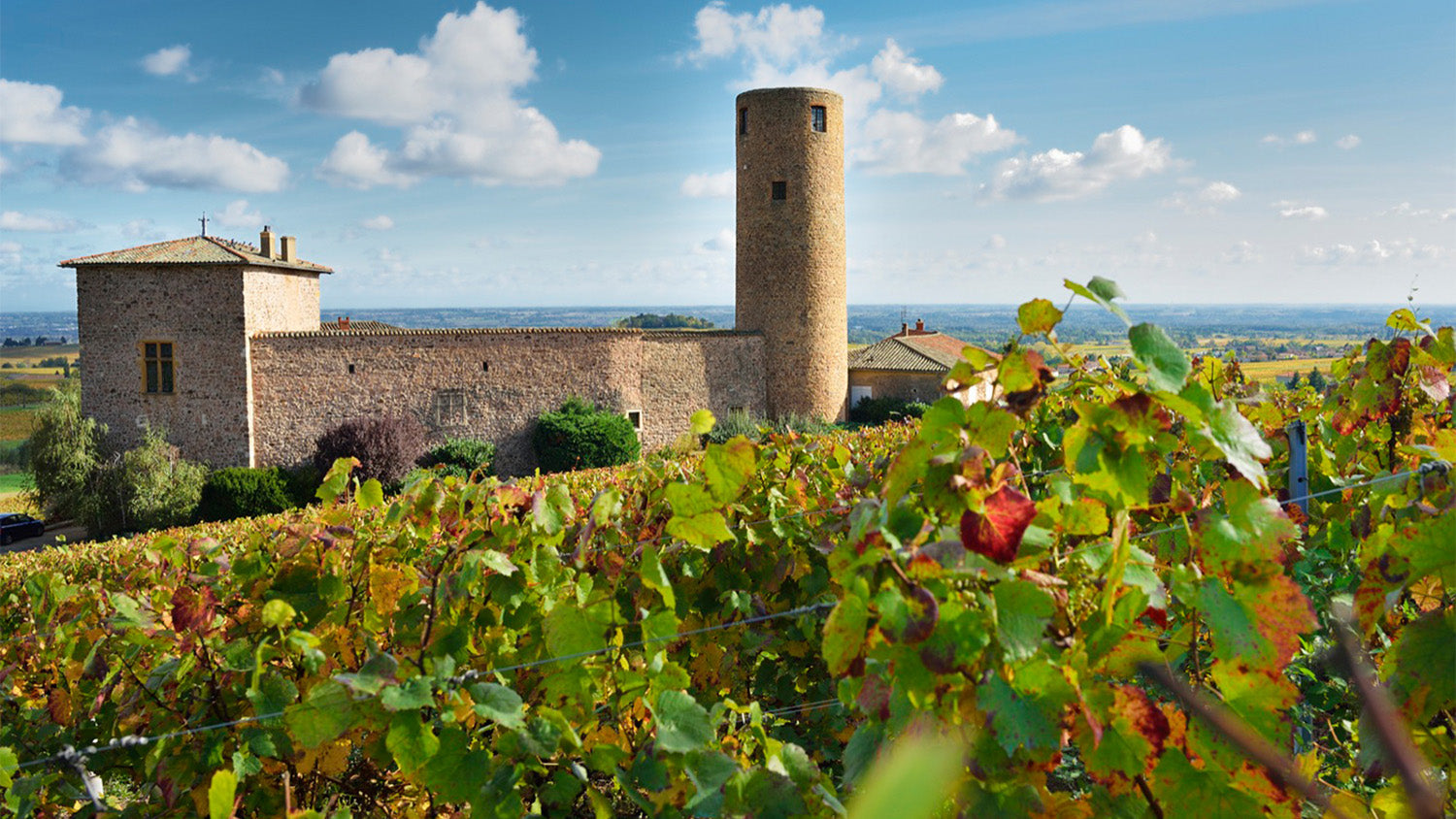 Château des Tours from Emmanuel Reynaud – Sotheby's Wine