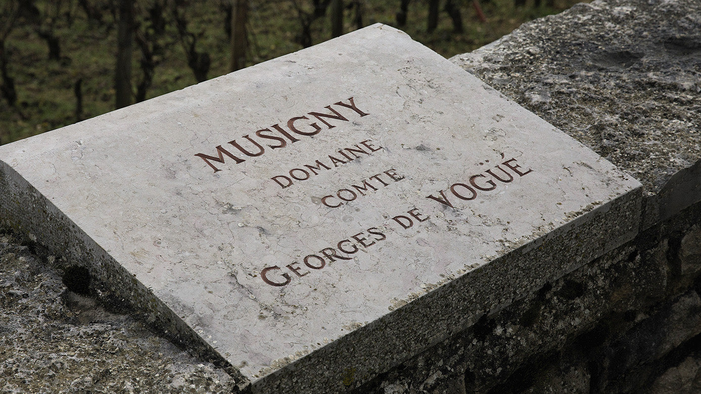 Le Musigny | The Crown Jewel of Chambolle – Sotheby's Wine