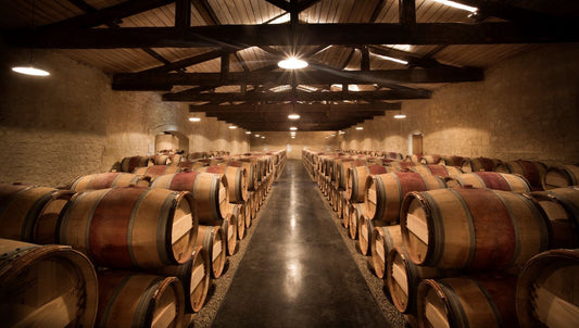 2005 Bordeaux: A Vintage of Pleasure