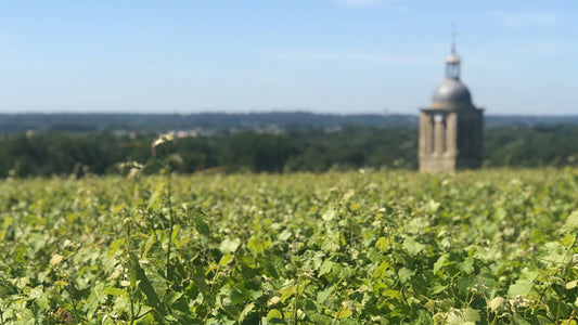 The Brilliant Chenin Blancs of Domaine Huet