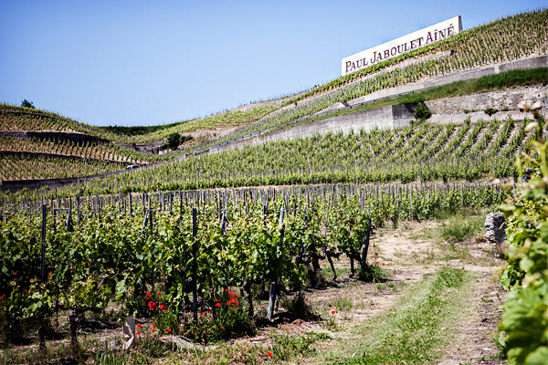 Paul Jaboulet Aîné: The Potent Allure of La Chapelle and La Maison Bleue