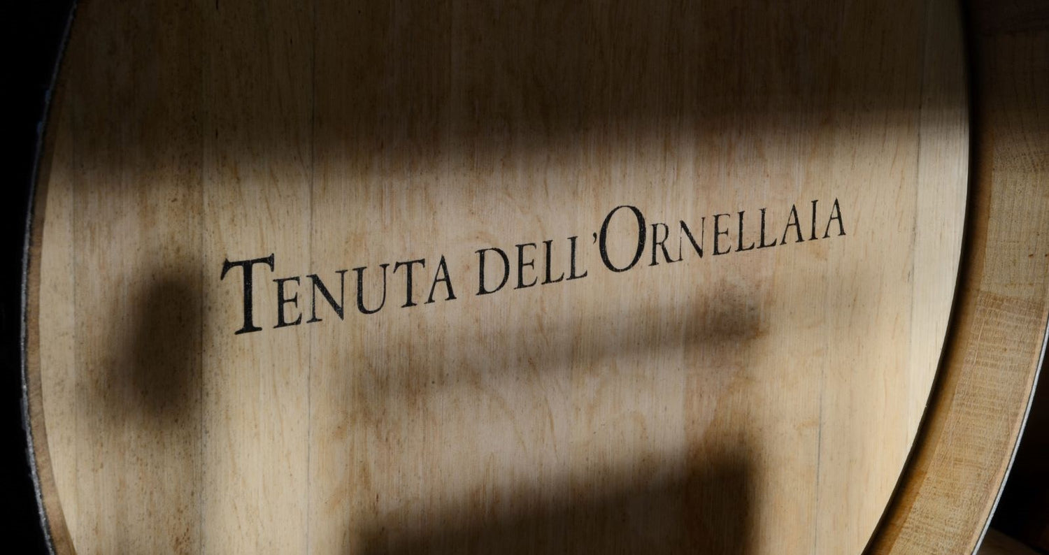 Ornellaia’s 2020 Release: A Proportionate Classic