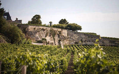 The Best of St. Emilion – Sotheby's Wine