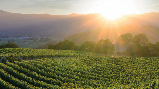 Sotheby’s Wine | Auction Napa Valley