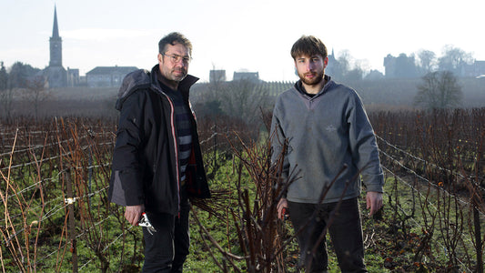 Agrapart: Gems from the Côte des Blancs