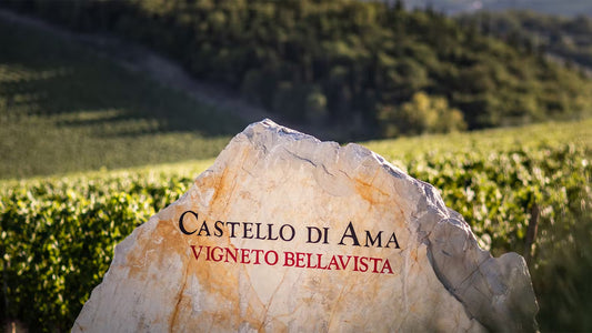 A Tuscan Superstar: Castello di Ama