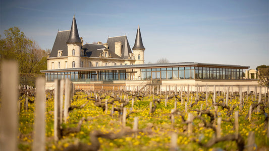 Pichon Baron: An Enviable Terroir