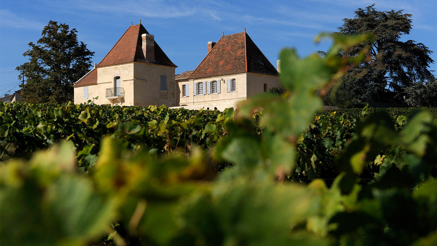 A St. Emilion Superstar: Belair-Monange