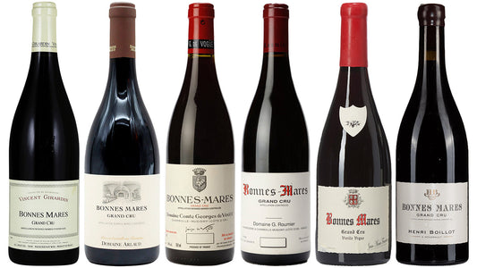 Bonnes Mares: The Top Producers