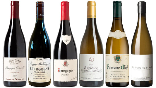 Bourgogne Blanc & Rouge: Gateway to Greatness