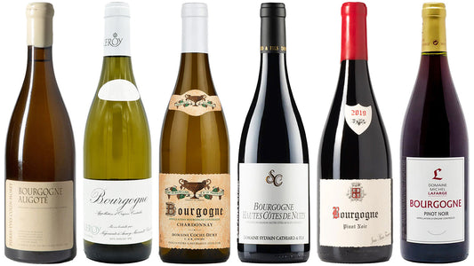 Burgundy's Best Bourgogne