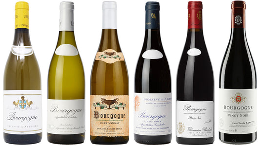 Bourgogne Blanc & Rouge: Gateway to Greatness