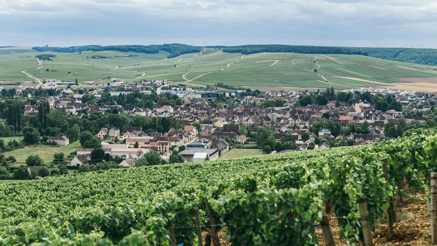 Notes from Chablis