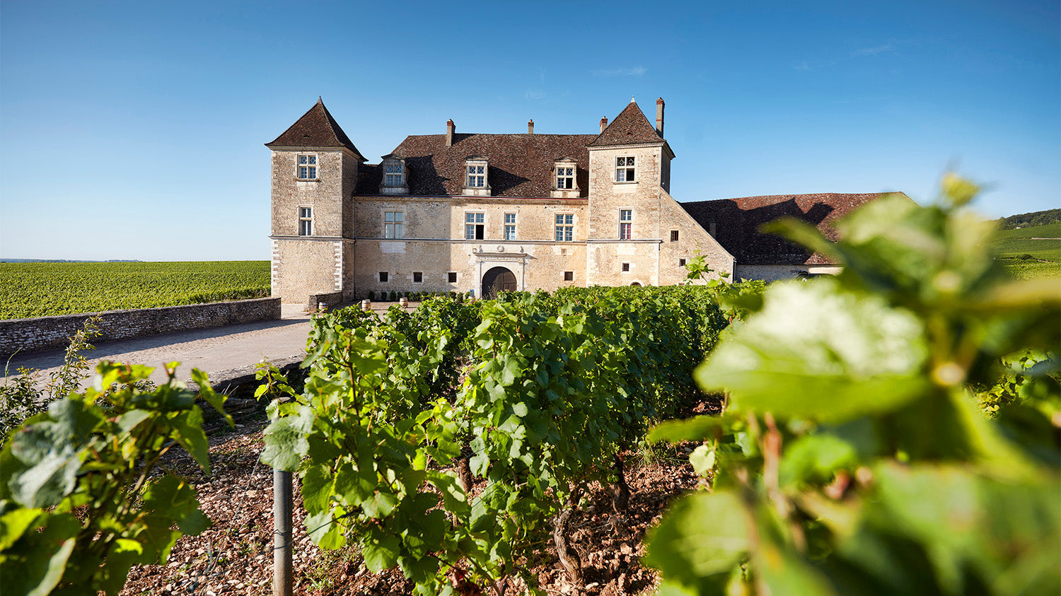 Clos de Vougeot: Parsing the Iconic Giant of Grands Crus
