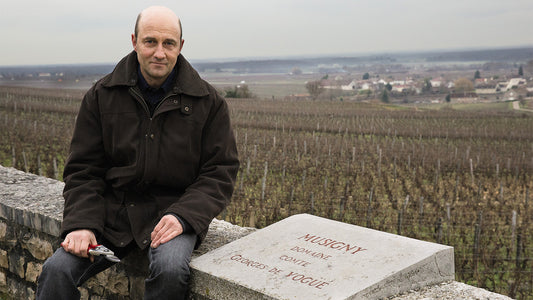 A Burgundian Great: de Vogüé Musigny