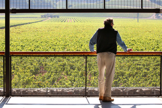 Dominus Estate: A Legacy of Bordeaux Lives On In Napa