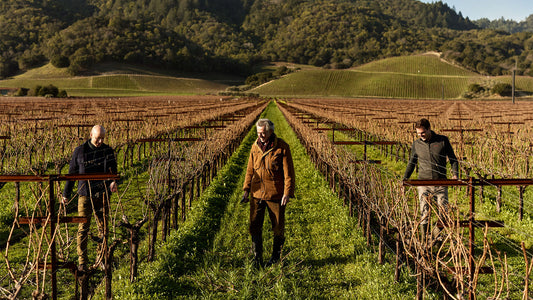 Dominus: A Napa Classic for Good Reason