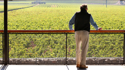 Dominus Estate: A Napa Icon