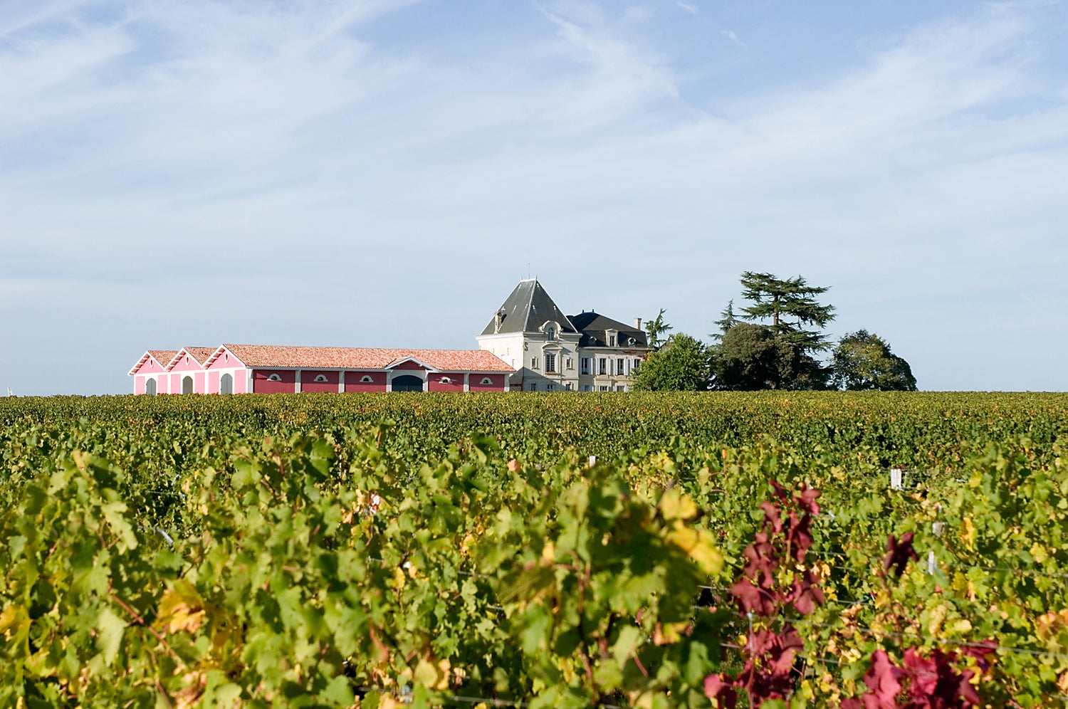 A Treasure Trove of Pomerol