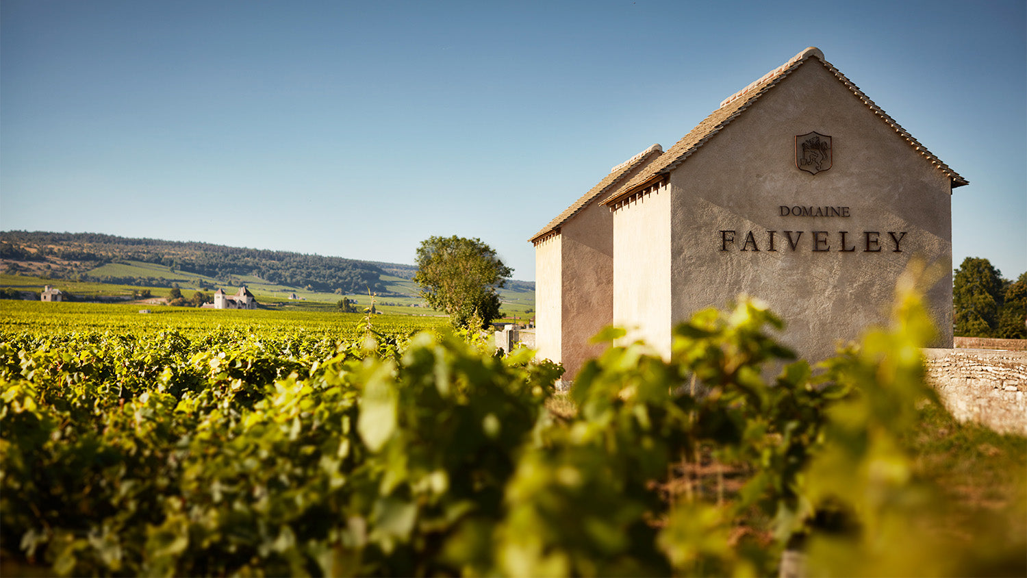 Domaine Faiveley: Excellence Since 1825