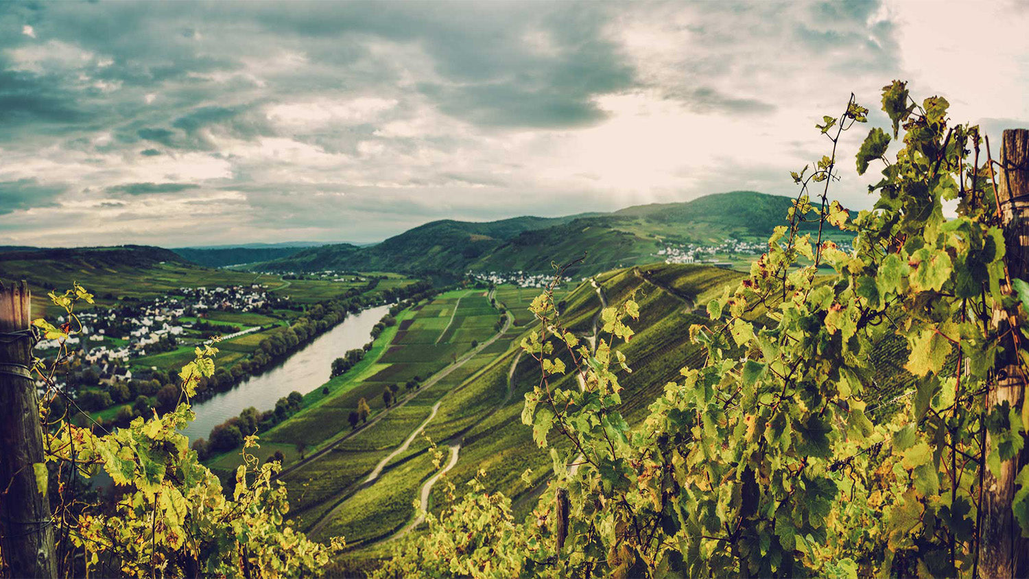 Fritz Haag: One of the Jewels of the Mosel