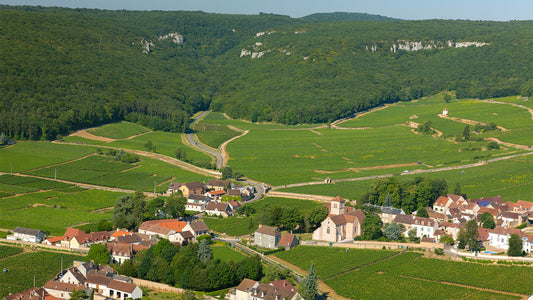 Grand Cru Gevrey Without the Price Tag