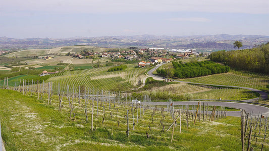 Bruno Giacosa: Benchmark Nebbiolo