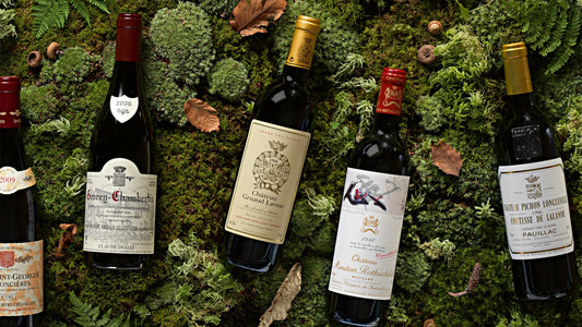 The Best Wines to Gift this Holiday Season