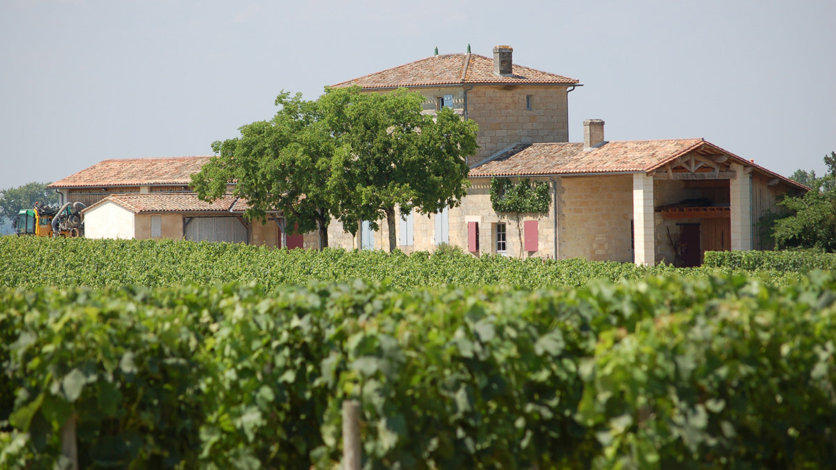 Sumptuous Pomerol in Stock Now