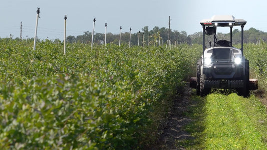 Innovations in Wine: From AI Tractors to Eco-Friendly Wineries