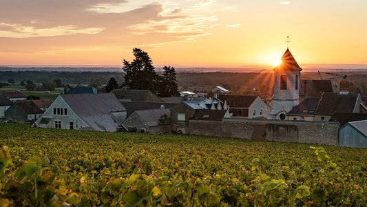 Morey St. Denis: the Leading Producers