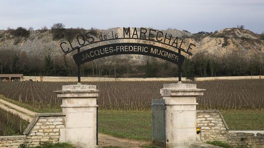 Clos de la Maréchale: Portal to the Majesty of Mugnier