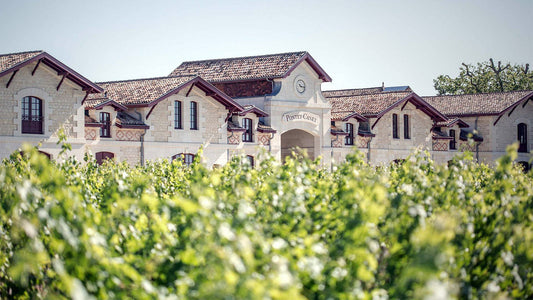 Pontet-Canet: A Distinctive Pauillac