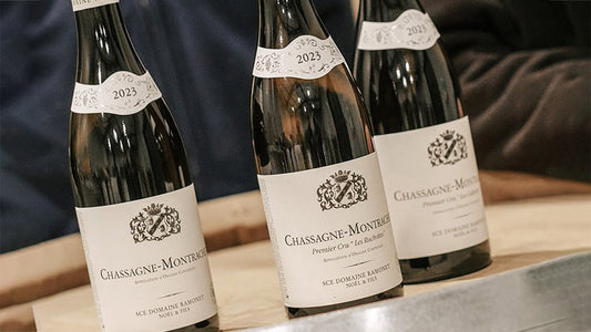 Chassagne-Montrachet: Our Current Recommendations