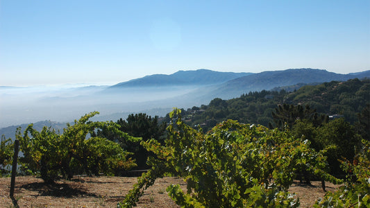 Ridge Monte Bello: Magic from a Mountainside