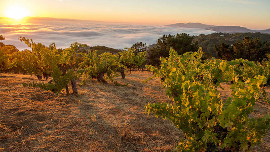 Ridge Monte Bello: A Mountainside Icon