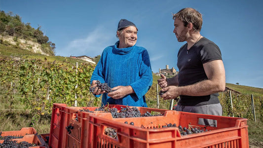 A Piedmont Superstar: Roagna