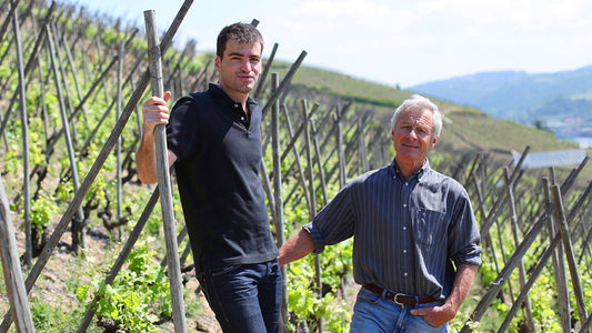 Rostaing: A Pearl in Côte-Rôtie