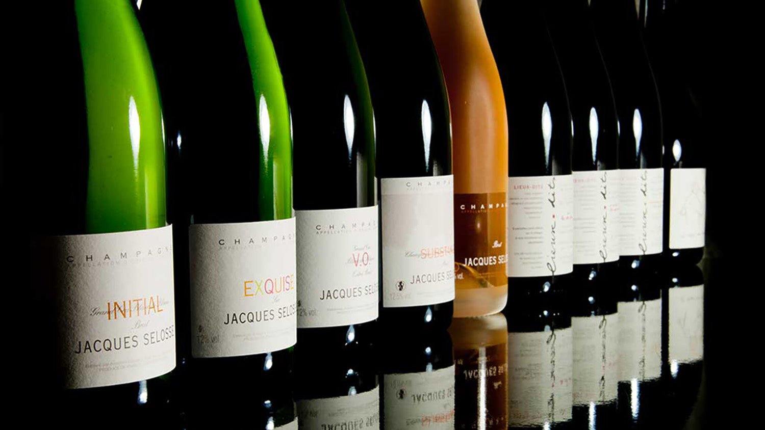 New Arrivals from Jacques Selosse