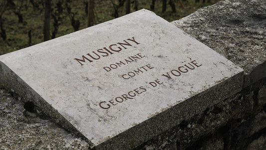 Le Musigny | The Crown Jewel of Chambolle