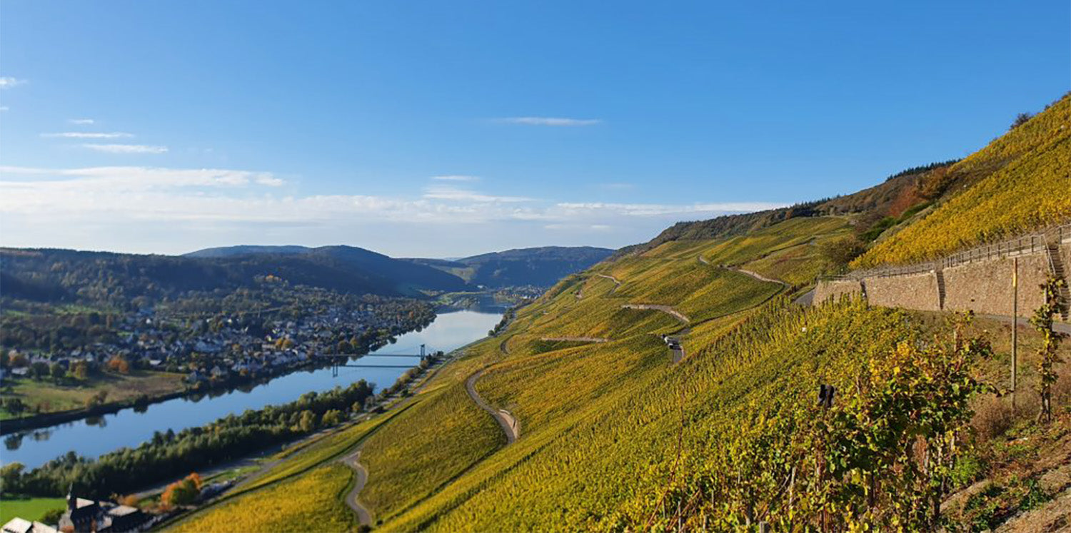 The Mosel Valley: Germany’s Enchanting Rieslings