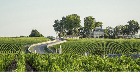 Pichon Longueville Comtesse de Lalande – Sotheby's Wine