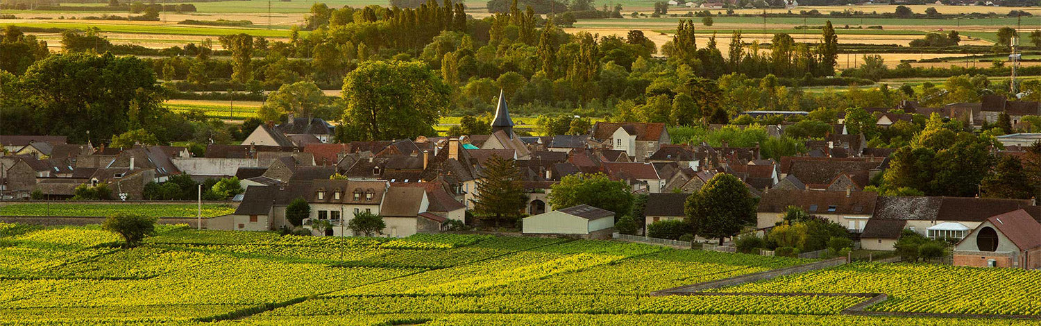 puligny-town-collection.jpg?v=