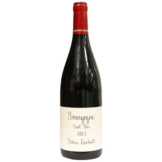 Antoine Lienhardt: Bourgogne, Pinot Noir 2023