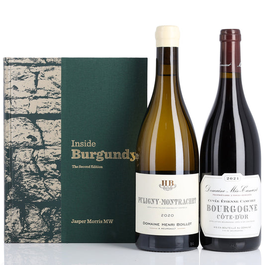 An Introduction to Burgundy | Specialty Case