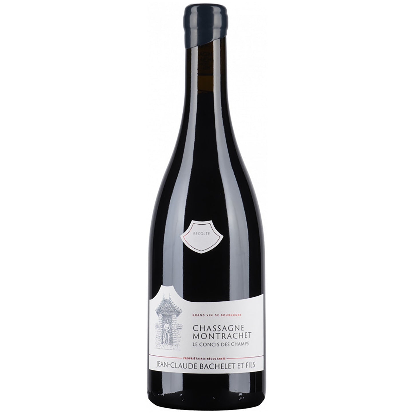 Jean-Claude Bachelet: Chassagne-Montrachet, Le Concis du Champs 2021