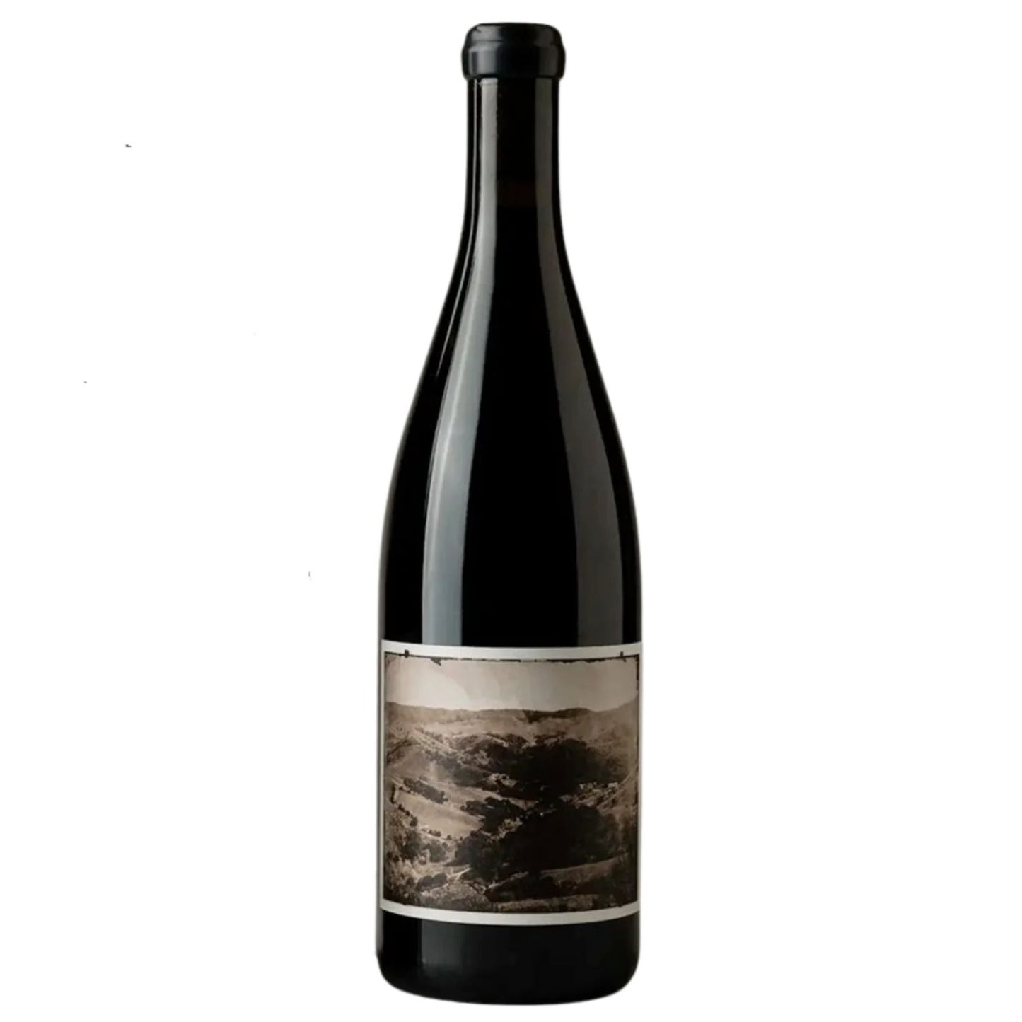 Sandhi: White Buffalo Land Trust Pinot Noir, Jalama Canyon Ranch 2022